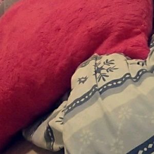 Meet your Posher, Paige